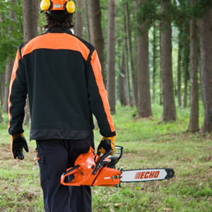 Professional Chainsaws