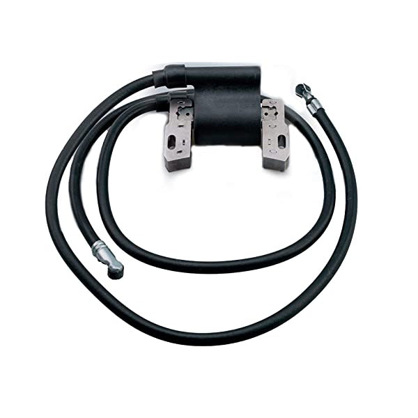 Ignition Module - Briggs & Stratton Flat Twin Engines