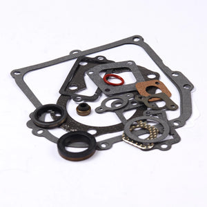 Gasket Set - Briggs & Stratton (298989, 699933, 794209)