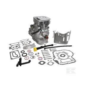 Briggs & Stratton 31 Series Short Block Assy