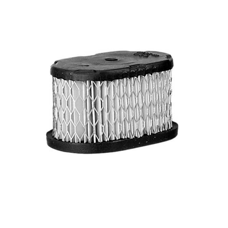 Air Filter - Briggs & Stratton