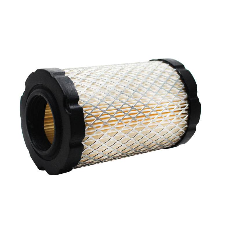 Briggs & Stratton 17.5HP - 19.5HP Air Filter