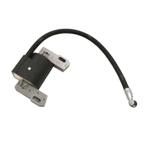 IGNITION MODULE - BRIGGS & STRATTON