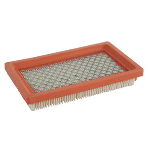 Air Filter - Loncin LC1P70FA (early style)
