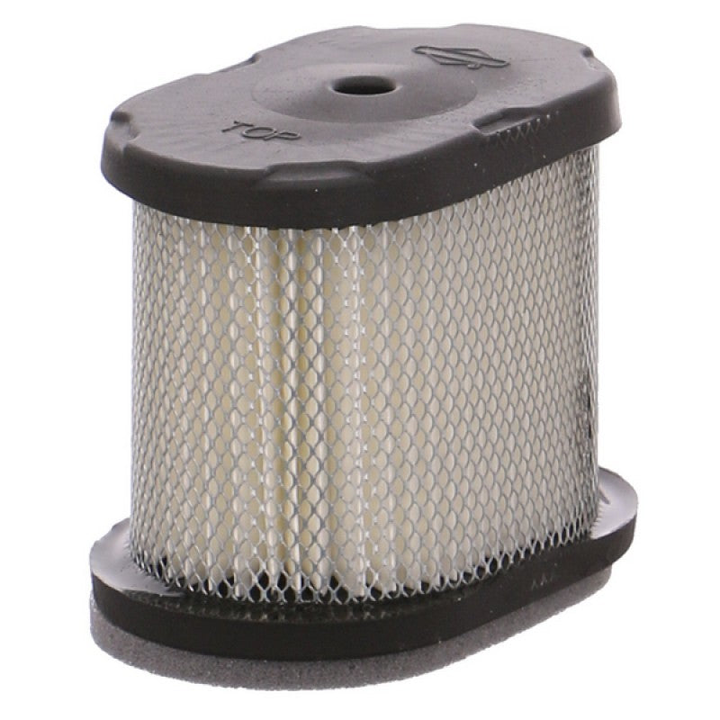 Air Filter - Briggs & Stratton (697029, 690610, 498596)