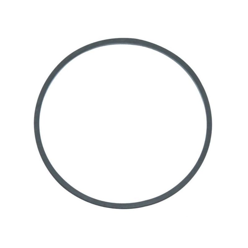 Briggs & Stratton Carburettor Bowl Seal