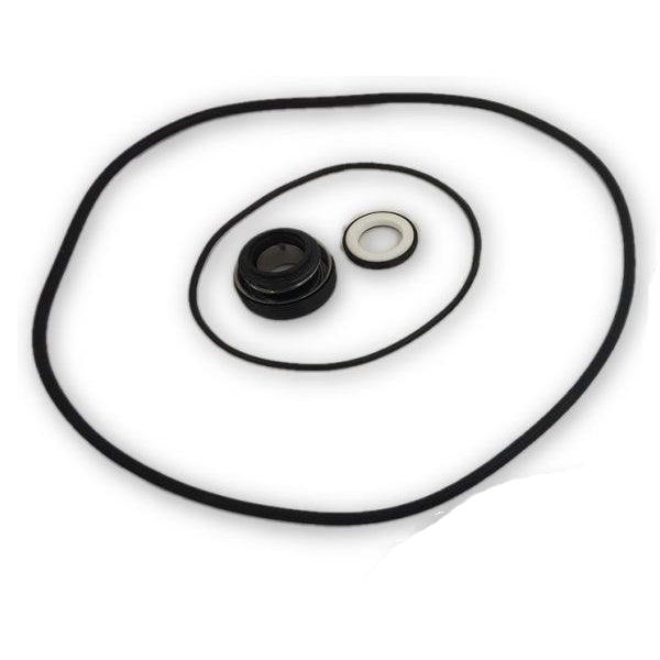 Seal Kit - Briggs & Stratton Water Pump