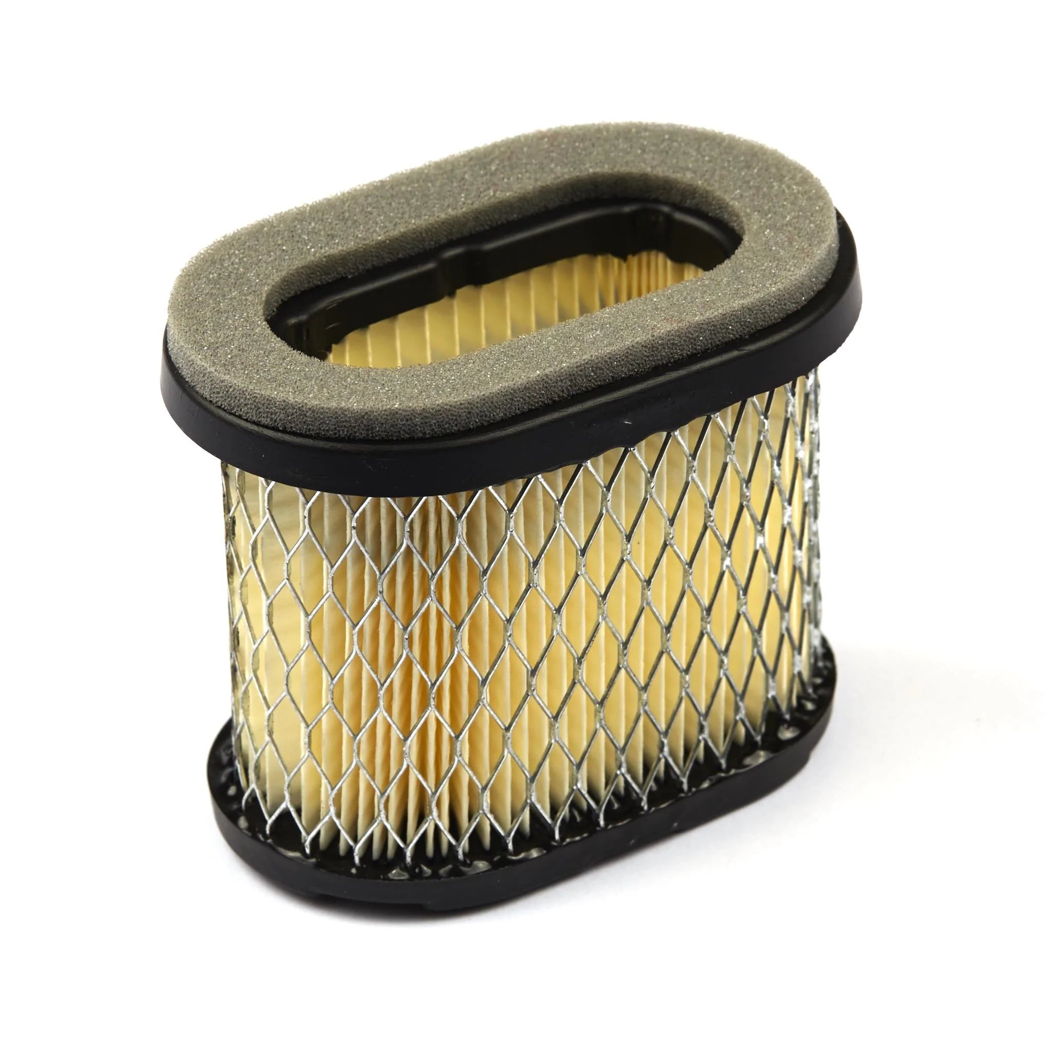 Air Filter - Briggs & Stratton