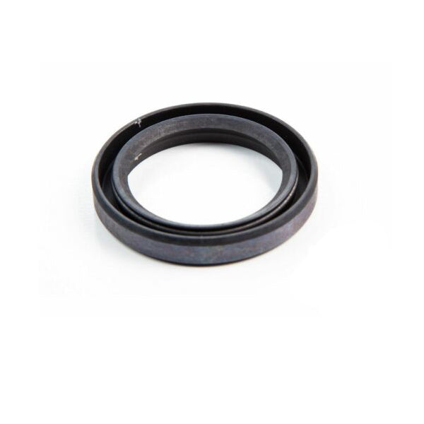 Oil Seal - Briggs & Stratton