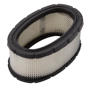Air Filter - Briggs & Stratton