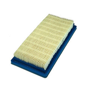 Air Filter - Briggs & Stratton 4HP Vanguard