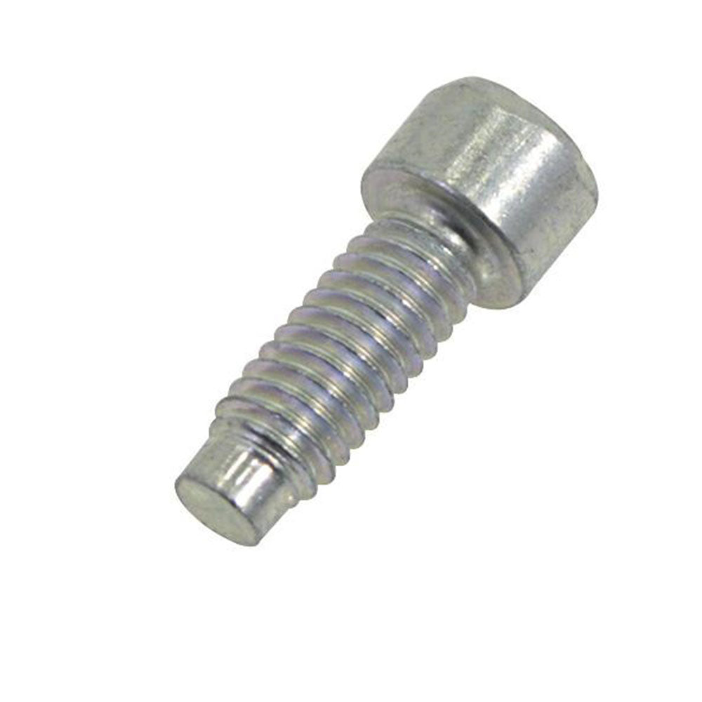 Exhaust Screw - Briggs & Stratton