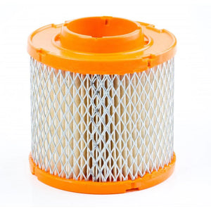 Air Filter - Briggs & Stratton