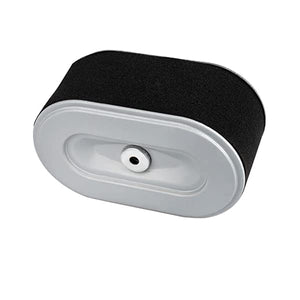 Air Filter - Robin EX27