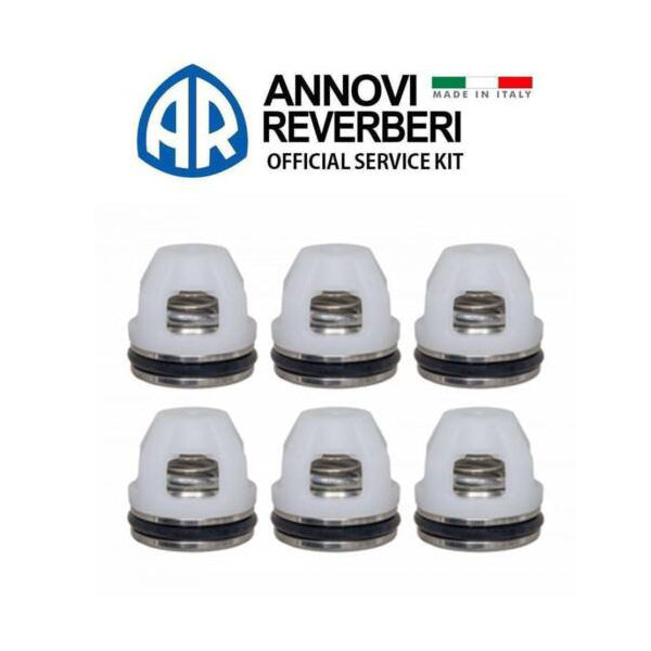 Valve Kit - Annovi Reverberi RSV4G40 (set of 6 valves)