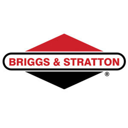 Picture for category Briggs & Stratton Parts