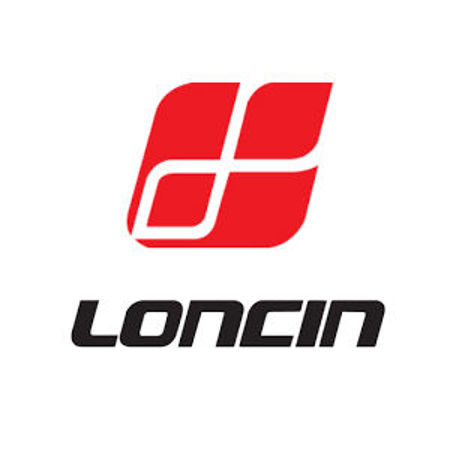 Picture for category Loncin Spare Parts