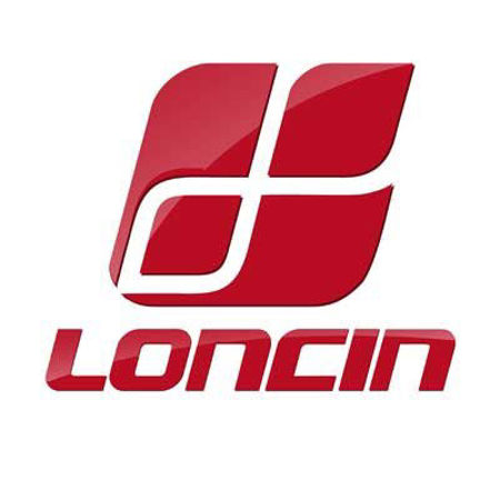 Picture for category Loncin Engines