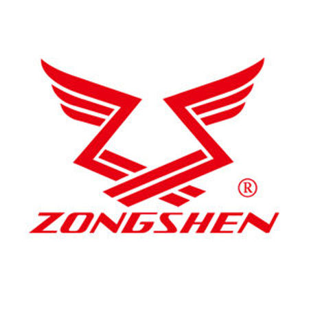 Picture for category Zongshen Engines