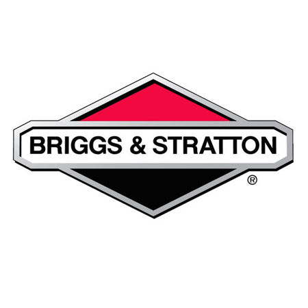 Picture for category Briggs & Stratton Engines