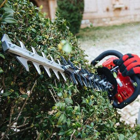Picture for category Hedge Cutters