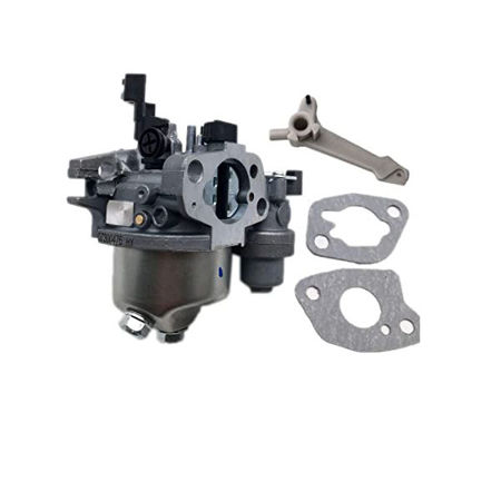 Picture for category B&S Carburettor & Fuel System Parts