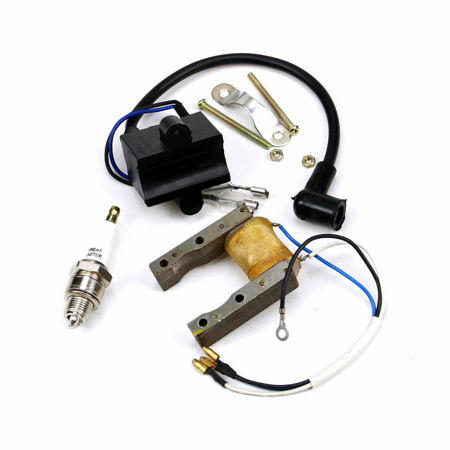 Picture for category CPM Ignition System Parts