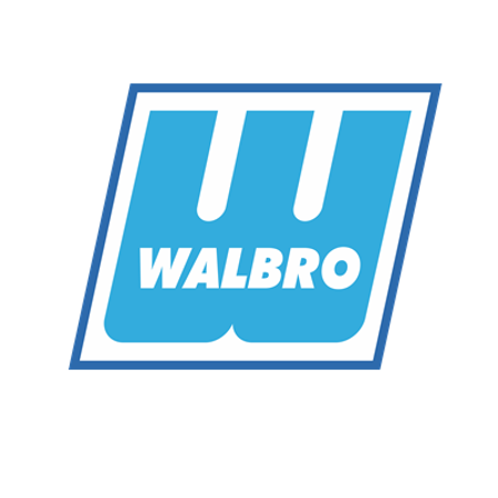 Picture for category Walbro Carburettor Kits