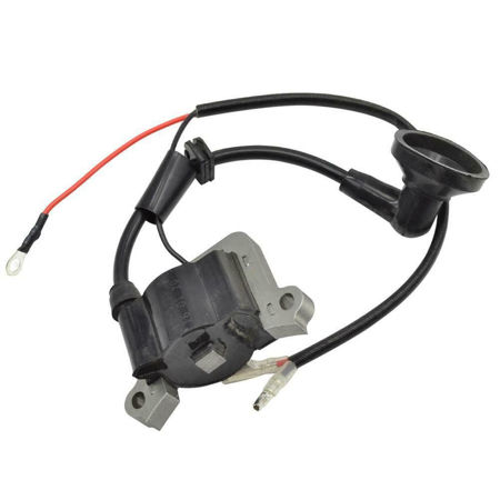 Picture for category Brushcutter Ignition Parts