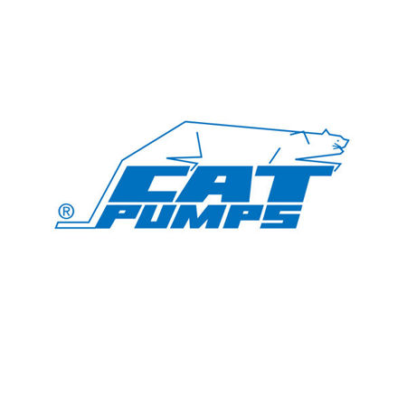 Picture for category CAT Pump Parts